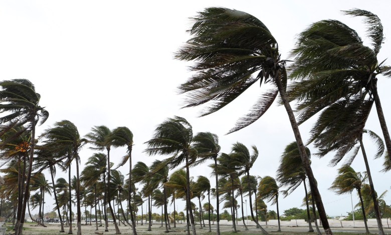 Tempête "Rudiger" : Pluies Torrentielles et Vents Violents sur le Maroc