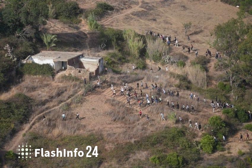 صورة المقال 1