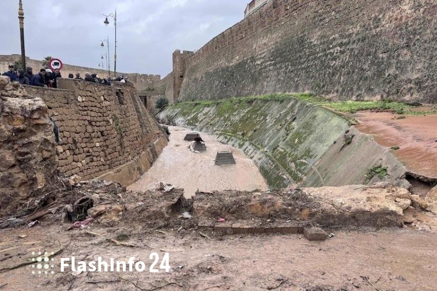 صورة المقال 1