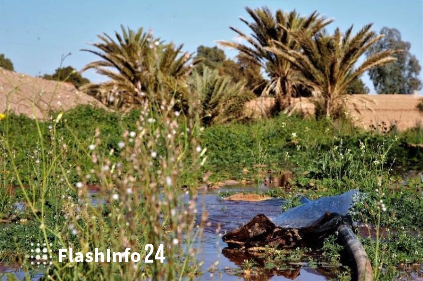صورة المقال 1