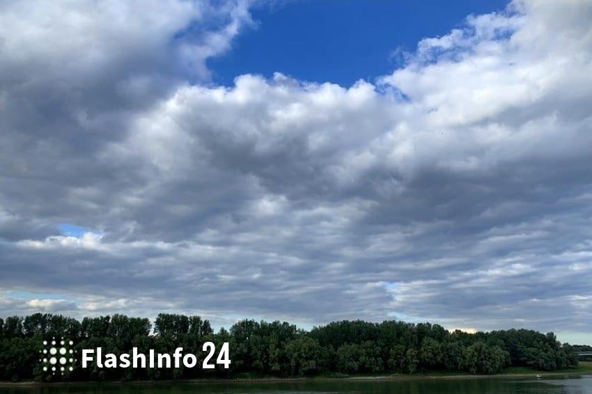 صورة المقال 1