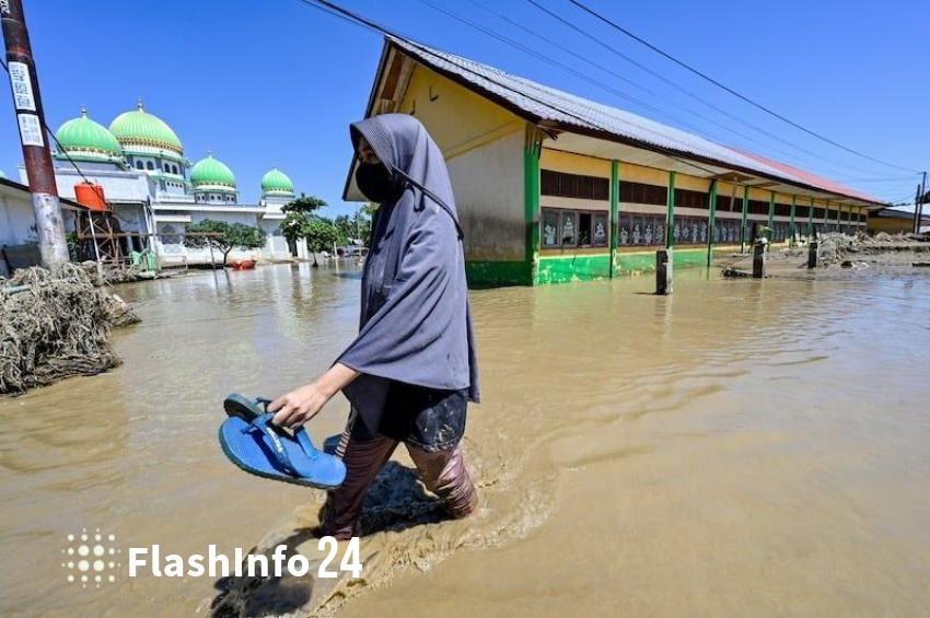 صورة المقال 1