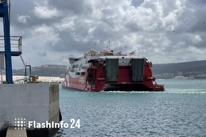 صورة المقال 1