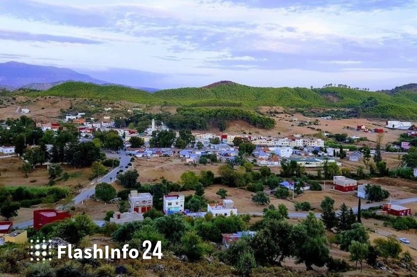 صورة المقال 1