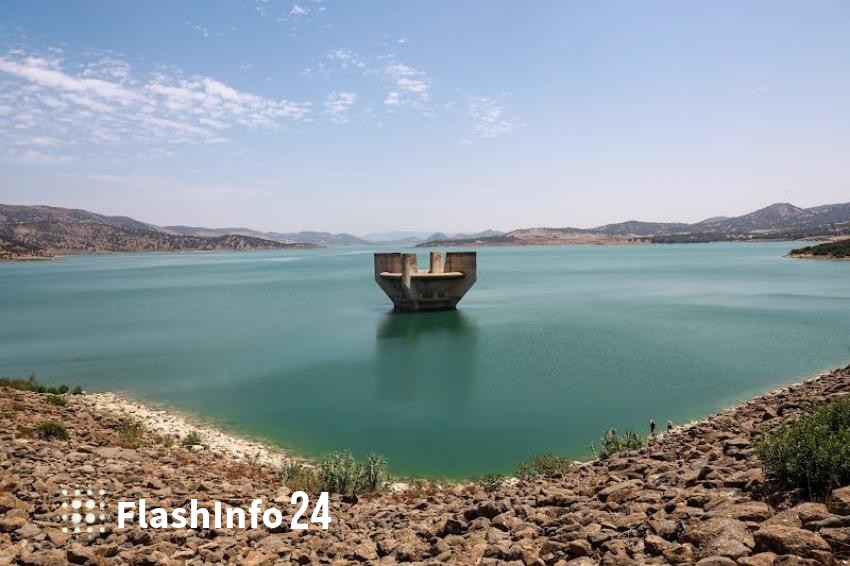 صورة المقال 1