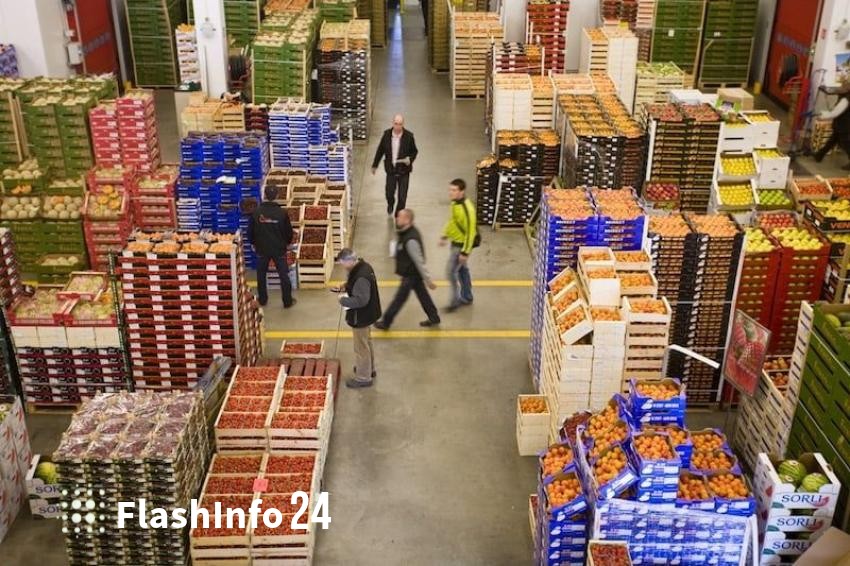 صورة المقال 1