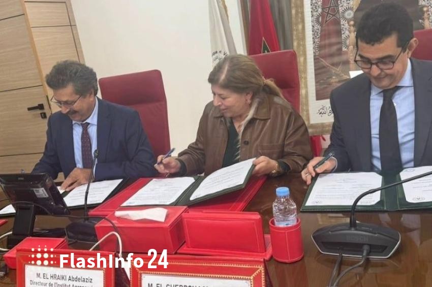 صورة المقال 1