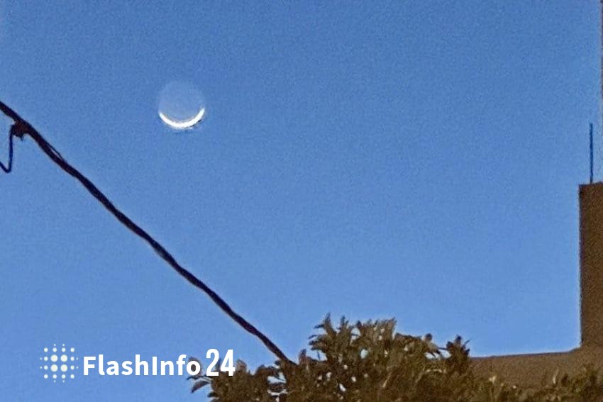 صورة المقال 1