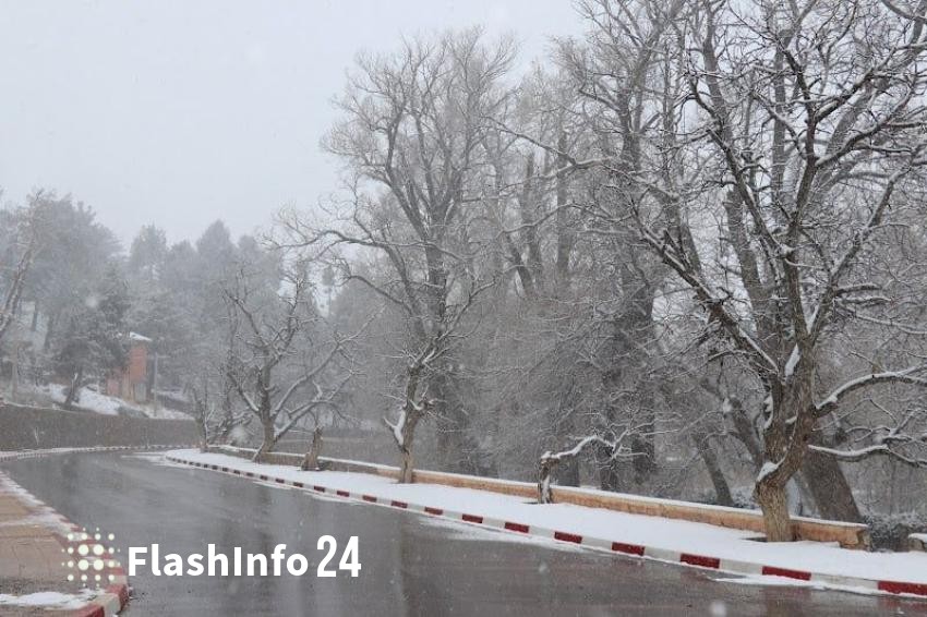 صورة المقال 1