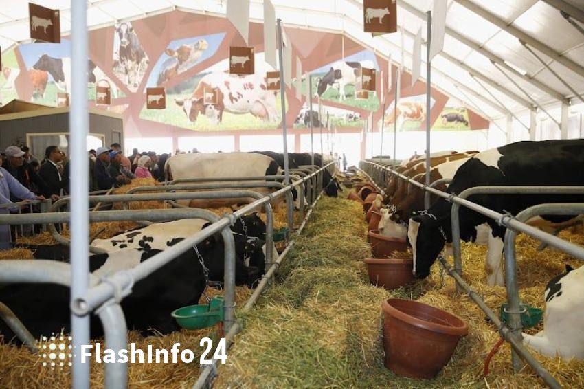 صورة المقال 1