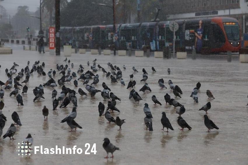 صورة المقال 1