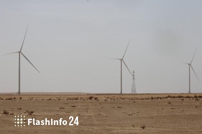 صورة المقال 1