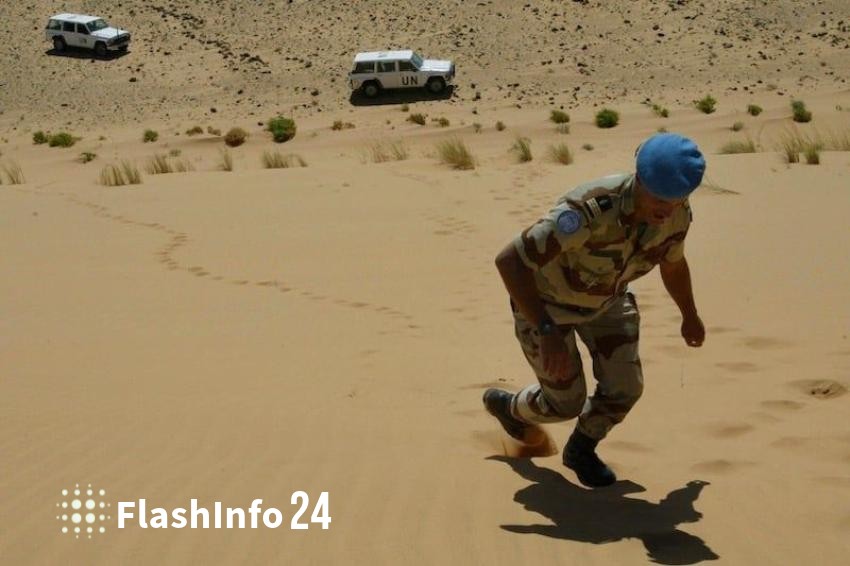 صورة المقال 1