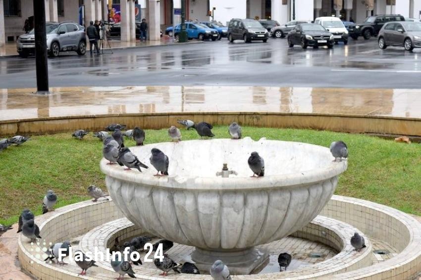 صورة المقال 1