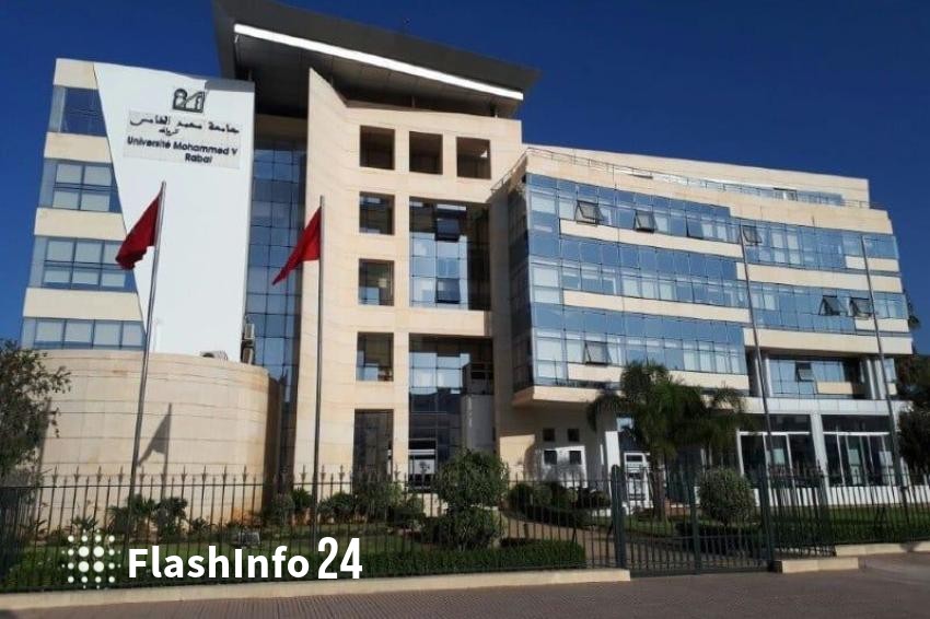 صورة المقال 1