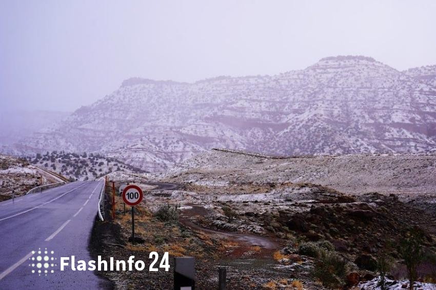 صورة المقال 1