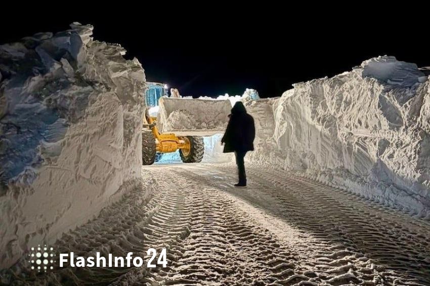 صورة المقال 1