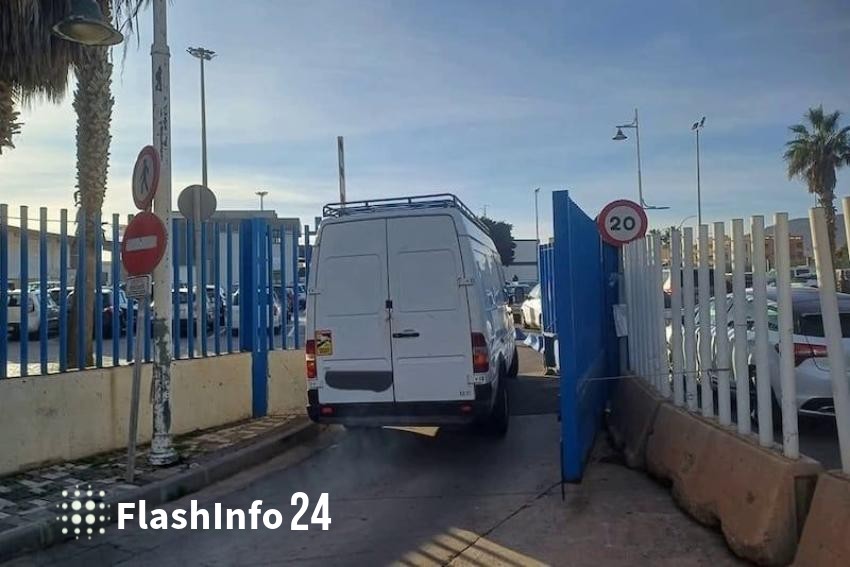 صورة المقال 1