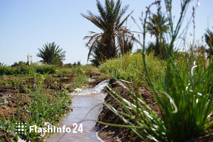 صورة المقال 1