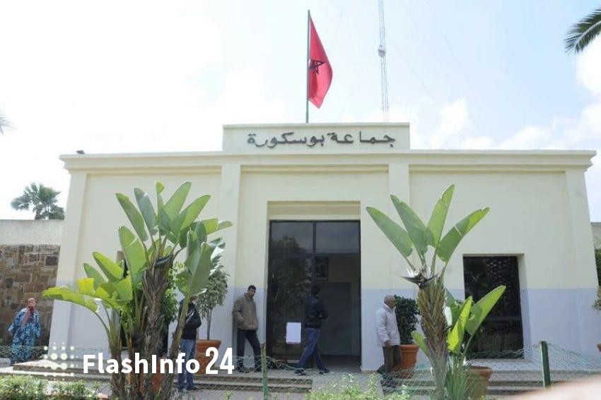 صورة المقال 1