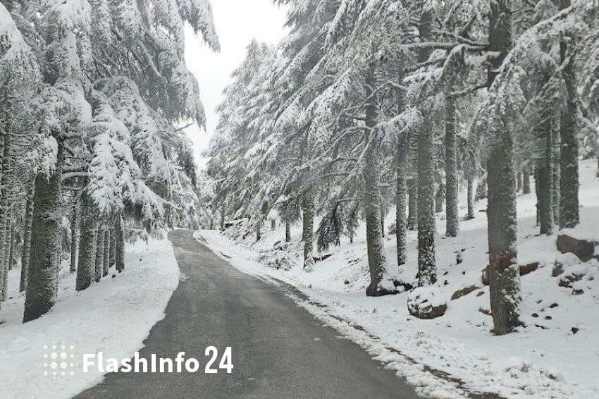 صورة المقال 1