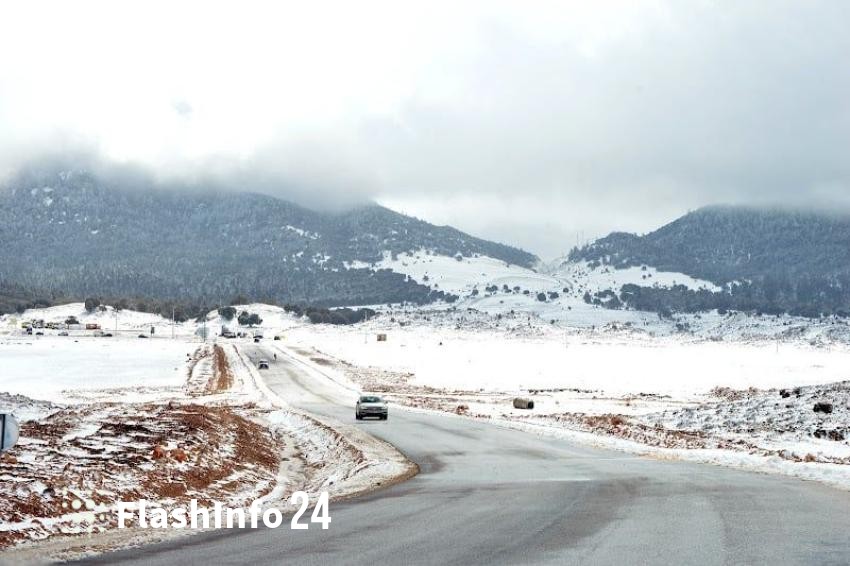 صورة المقال 1