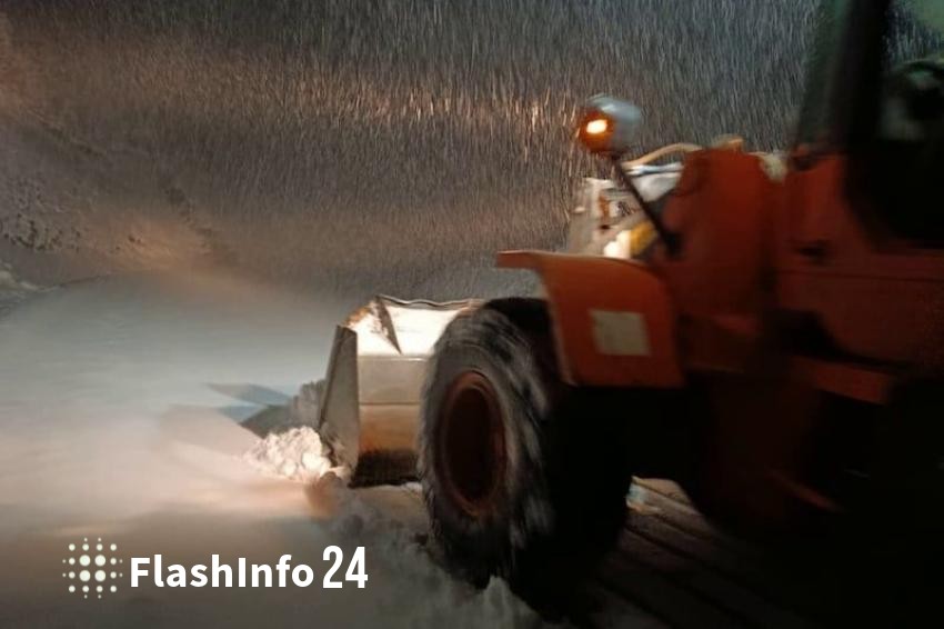 صورة المقال 1