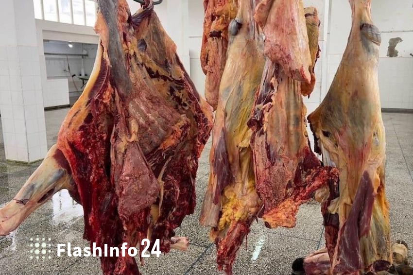 صورة المقال 1