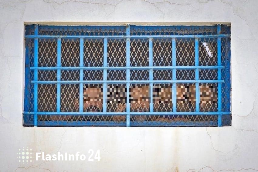 صورة المقال 1