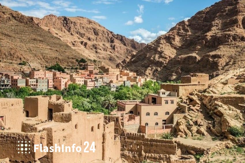 صورة المقال 1