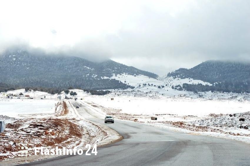 صورة المقال 1