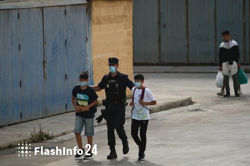 صورة المقال 1