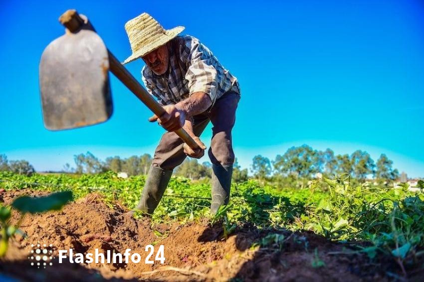 صورة المقال 1