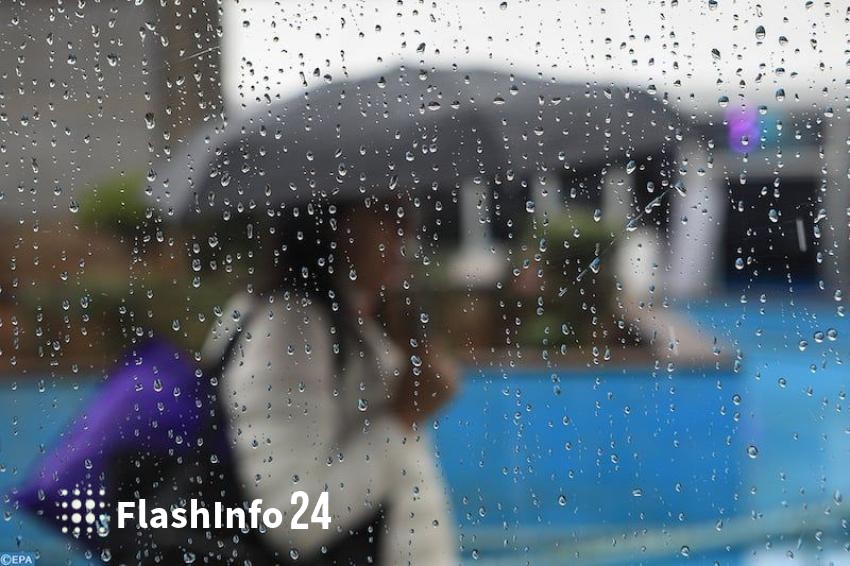 صورة المقال 1