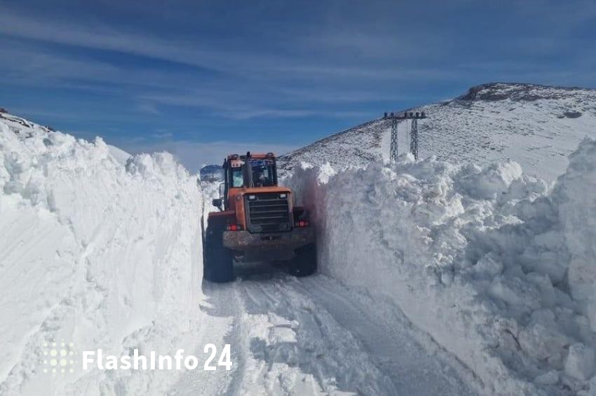 صورة المقال 1